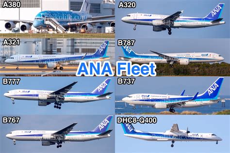 ana 機材一覧|ANAの機材一覧・航空機の種類をチェック .